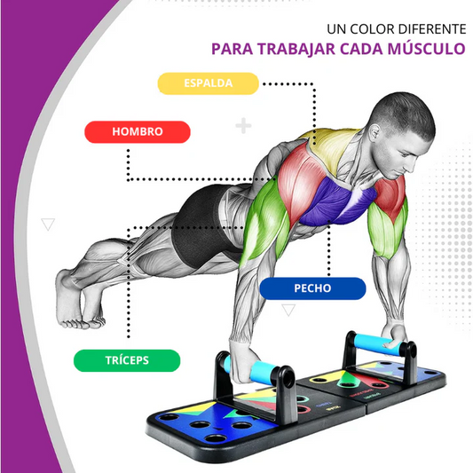 Tablero de Push Up Fitness 🏋️‍♂️ — Entrenamiento profesional y completo en casa 🔥